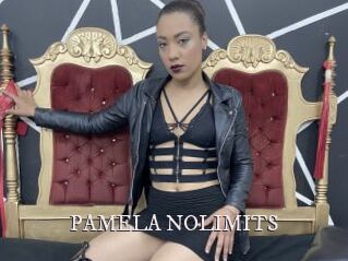 PAMELA_NOLIMITS