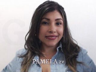 PAMELA_zv