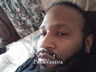 PalmVagina
