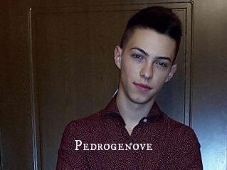 Pedrogenove