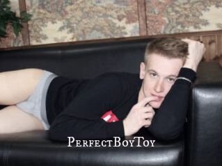 PerfectBoyToy