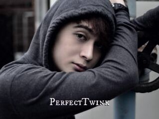 PerfectTwink