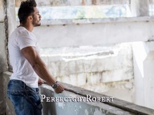 PerfectguyRobert