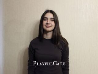 PlayfulCate