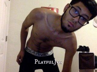 PlayfulJoe