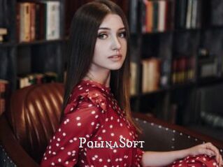 PolinaSoft