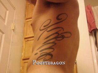 Poofydragon