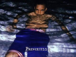 Prince112233