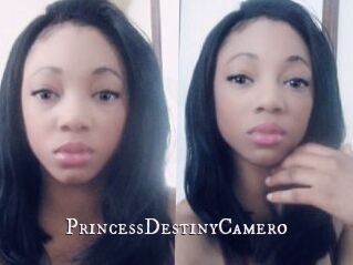 PrincessDestinyCamero