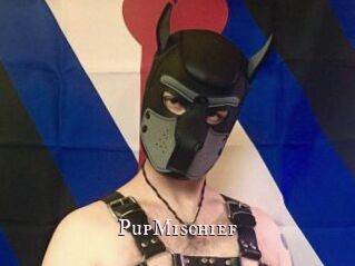 PupMischief