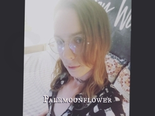 Palemoonflower