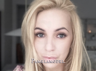 Pamelamodel