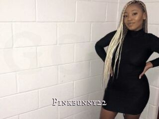 Pinkbunny22