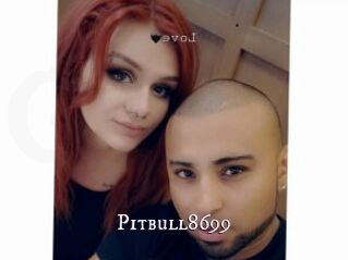 Pitbull8699