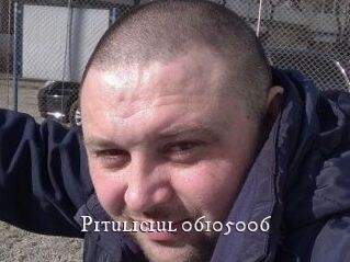 Pituliciul-06105006