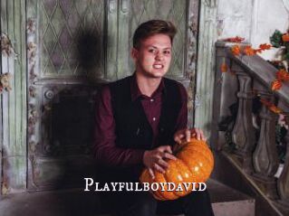 Playfulboydavid
