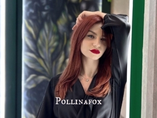 Pollinafox