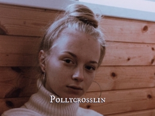 Pollycrosslin