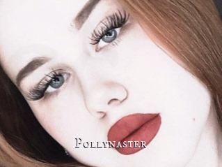 Pollynaster