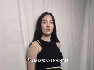 Primrosebingham
