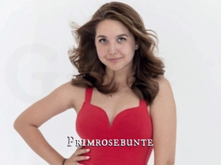 Primrosebunte
