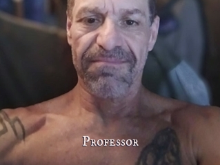 Professor