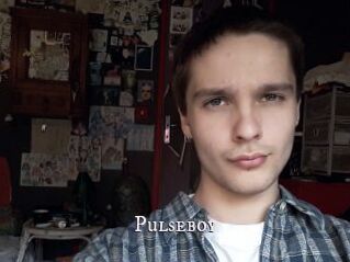 Pulseboy