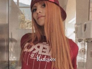 Raaccon