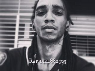 Raphael882303