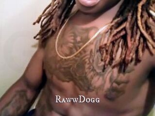 RawwDogg