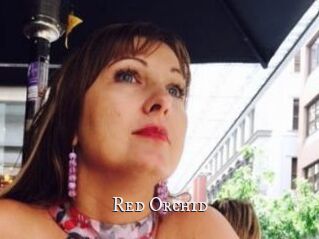 Red_Orchid