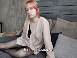 RileyHamming