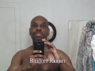 Rodney_Rabbit
