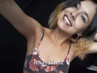 RomeeHosk