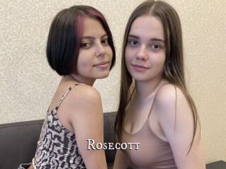 Rosecott