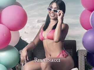 Rileynacci