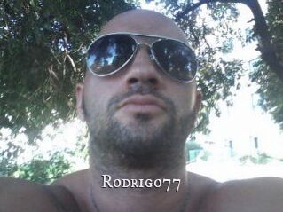 Rodrigo77