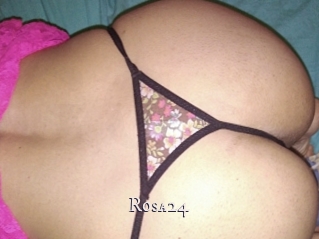 Rosa24