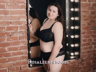 Rosaliebigboobs