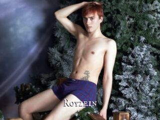 Royzein