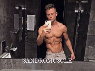 SANDRO_MUSCLE