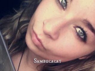 Sambucacat
