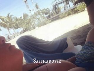 Sassharosse