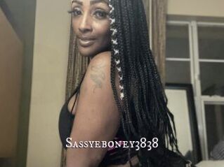 Sassyeboney3838
