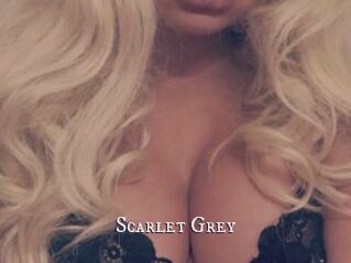 Scarlet_Grey