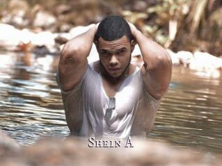 Shein_A