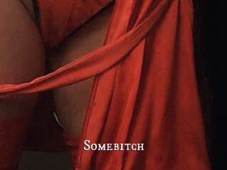 Somebitch