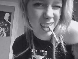Sparrow