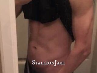 StallionJace