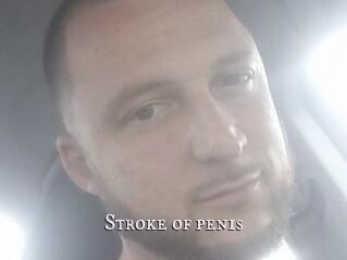 Stroke_of_penis